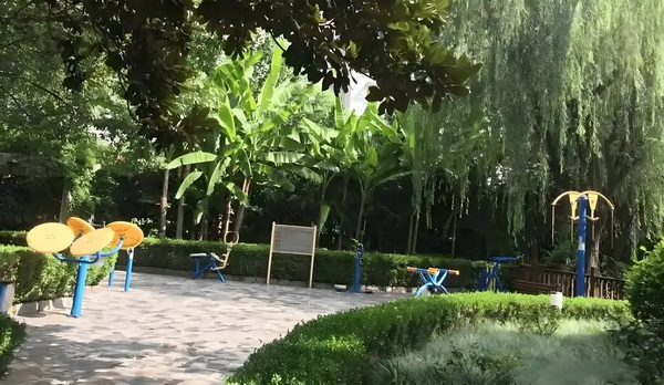 不会唱歌却开演唱会，58岁的郑伊健消费情怀？